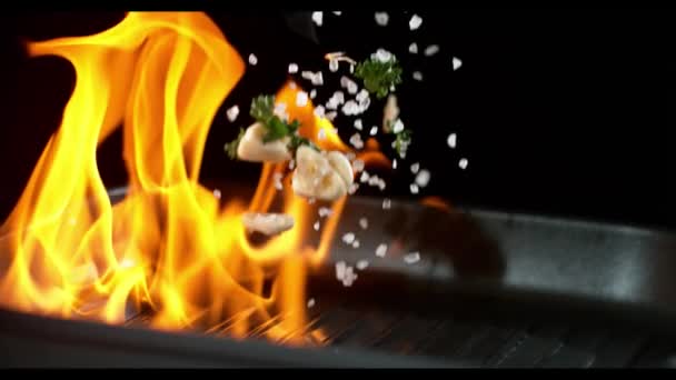 Super Zpomaleně Klesajících Krevetky Plamenů Natočeno Vysokorychlostní Cinema Camera 1000 — Stock video