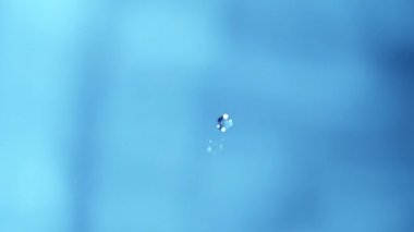 Damlayan süt damlasının makro mercekle çekilen süper yavaş çekimi. Üst Manzara. Yüksek hızlı sinema kamerası, 1000 fps..