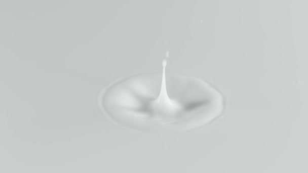 高速映画カメラで撮影 ミルクの滴をしぶきのスーパー スロー モーション — ストック動画