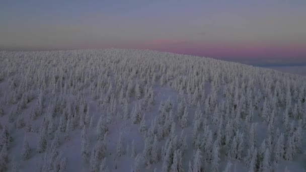 Veduta Aerea Attraversamento Paesaggio Invernale Liscio Filmato Drone — Video Stock