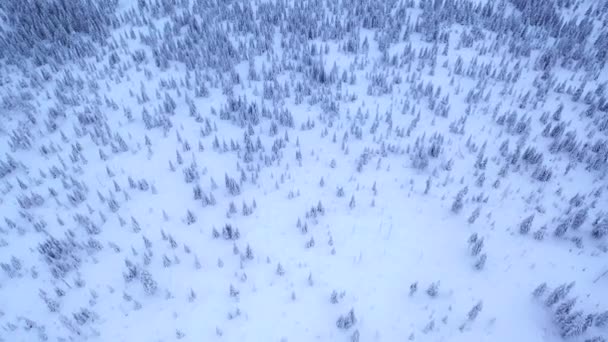 Letecký Pohled Křížení Zimní Krajiny Hladké Dron Záběry — Stock video