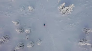 Karayak Walker kış orman içinde hava geçişi
