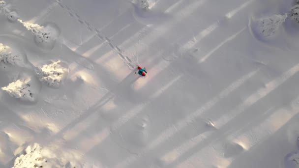 Luchtfoto Overschrijding Van Sneeuwschoentrails Wandelaar Winter Forest — Stockvideo