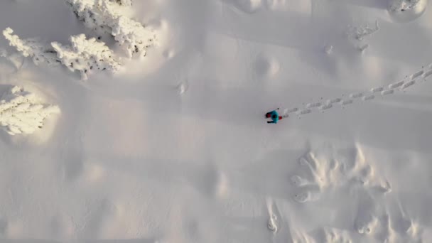 Cruce Aéreo Caminante Raquetas Nieve Bosque Invierno — Vídeo de stock