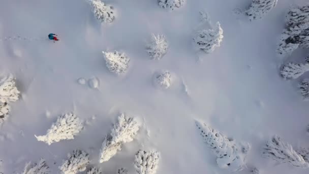 冬の森でスノーシュー歩行の空中交差 — ストック動画