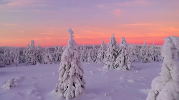 自然と冬の風景の屋外映画ドローン映像 — ストック動画