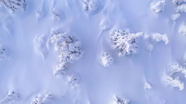 Natur Und Filmische Drohnenaufnahmen Der Winterlandschaft Freien — Stockvideo