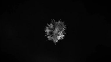 Siyah arka planda izole edilmiş süper yavaş renkli barut patlaması. Yüksek hızlı sinema kamerası, 1000fps.