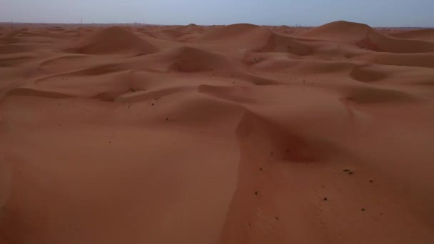 Εναέρια Κινηματογραφικά Πλάνα Του Στους Αμμόλοφους Της Ερήμου — Αρχείο Βίντεο