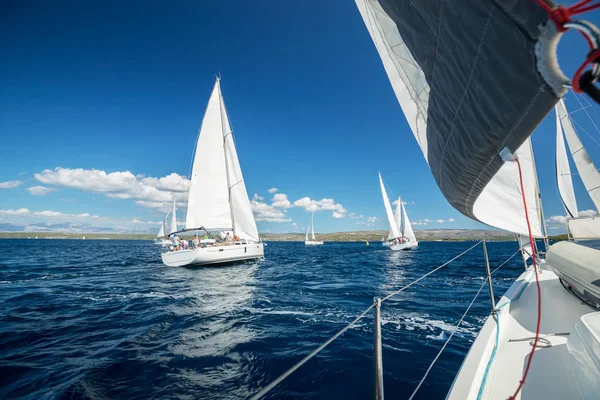 Regata Vela Regata Yacht Concorrenza Attività Sportive Ricreative Estive — Foto Stock