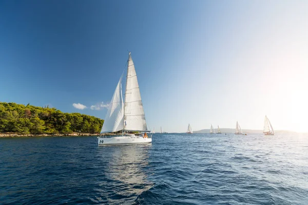 Barche Vela Alla Luce Del Tramonto Attività Sportive Ricreative Estive — Foto Stock