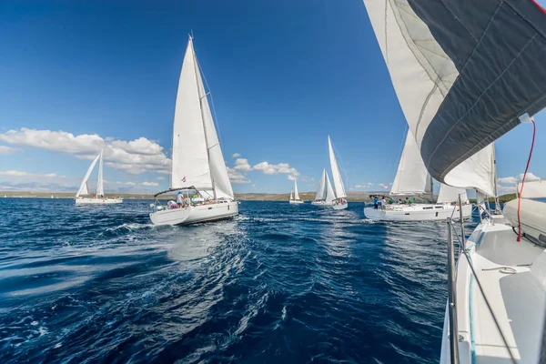 Regata Vela Regata Yacht Concorrenza Attività Sportive Ricreative Estive — Foto Stock