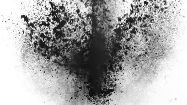 超慢速运动的彩色粉末爆炸隔绝在白色背景下 用高速摄像机拍摄 每秒1000英尺 — 图库视频影像