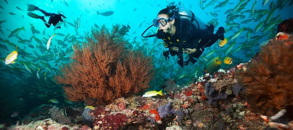 Mujer Joven Buzos Hombres Explorando Los Arrecifes Coral Actividades Deporte —  Fotos de Stock