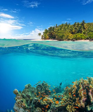 Altında ve mercan kayalığı su yüzey görünümünü yukarıda. Sualtı fauna ve flora, deniz yaşamı ve egzotik adada arka plan
