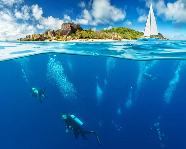 Vannflaten Dykkere Undervannsfauna Flora Livet Havet Eksotiske Øyer Med Bakgrunn – stockfoto