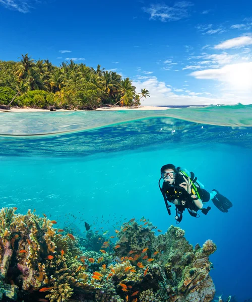 Under and above water surface view of woman diver. Underwater fauna and flora, marine life and exotic island on background