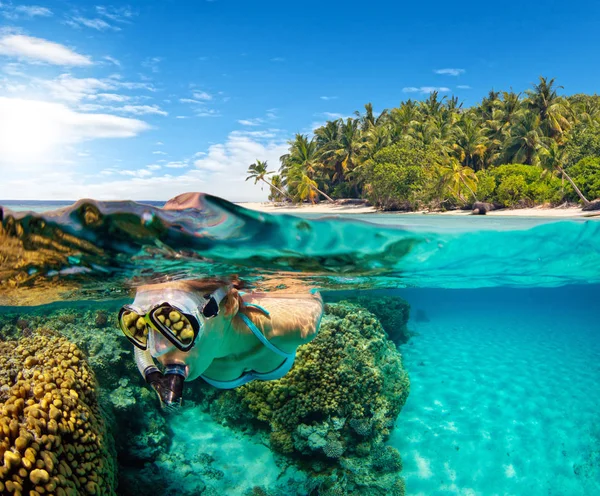 Abaixo Acima Visão Superfície Água Mergulho Mulher Fauna Flora Subaquáticas — Fotografia de Stock