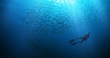 Adam scuba diver siluet balık sürüsü ile. Sualtı spor ve memnuniyetti faaliyetleri.