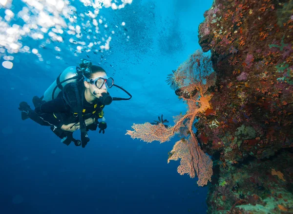 若い女性スキューバダイバーは サンゴ礁を探索します 水中のスポーツやレジャー活動 — ストック写真