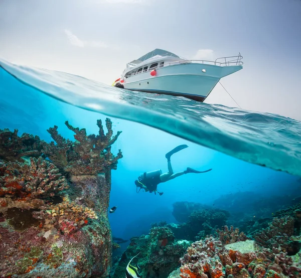 Fotografia Dividida Iate Safári Mulher Mergulhadora Explorando Recife Coral Fauna — Fotografia de Stock