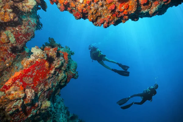 Mujer Joven Buzos Hombres Explorando Los Arrecifes Coral Actividades Deporte —  Fotos de Stock