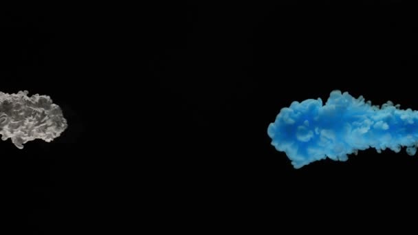 Сверхмедленное Движение Цветных Водорослей Воде Изолированный Черном Фоне Снято Камеру — стоковое видео