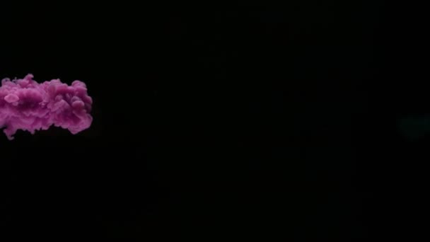 Szuper Lassú Vízben Színes Festéket Elszigetelt Fekete Háttér Forgatták Nagy — Stock videók