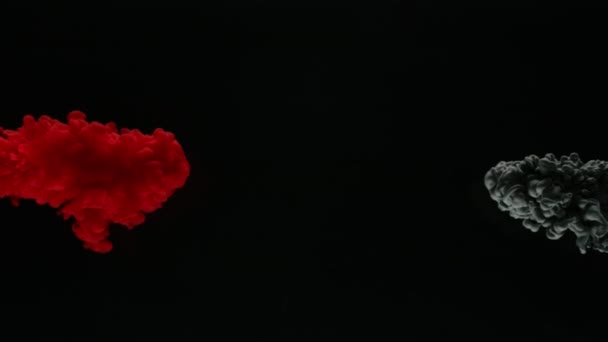Süper Ağır Çekim Renkli Mürekkep Siyah Arka Plan Üzerine Izole — Stok video