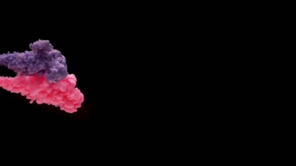 Slow Motion Coloured Inks Water Isolated Black Background Filmed Super — Stock Video