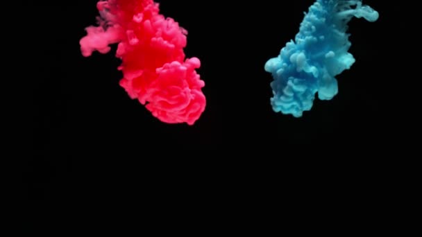 Slow Motion Coloured Inks Water Isolated Black Background Filmed Super — Stock Video