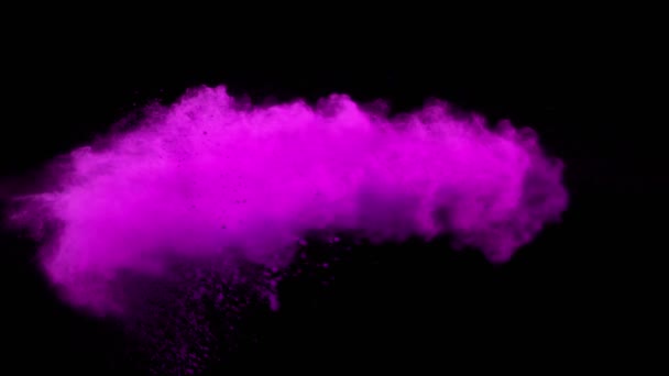 Сверхмедленное Движение Взрыва Фиолетового Порошка Изолировано Черном Фоне Съемки Камеру — стоковое видео