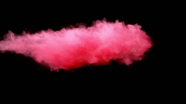 Сверхмедленное Движение Взрыва Розового Порошка Изолировано Черном Фоне Съемки Камеру — стоковое видео