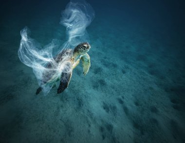 Plastik çöp ile sualtı küresel sorun