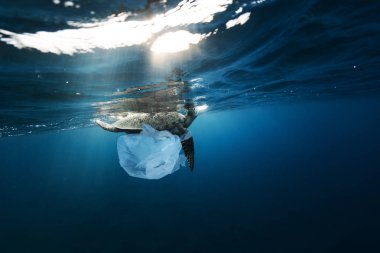 Plastik çöp ile sualtı küresel sorun