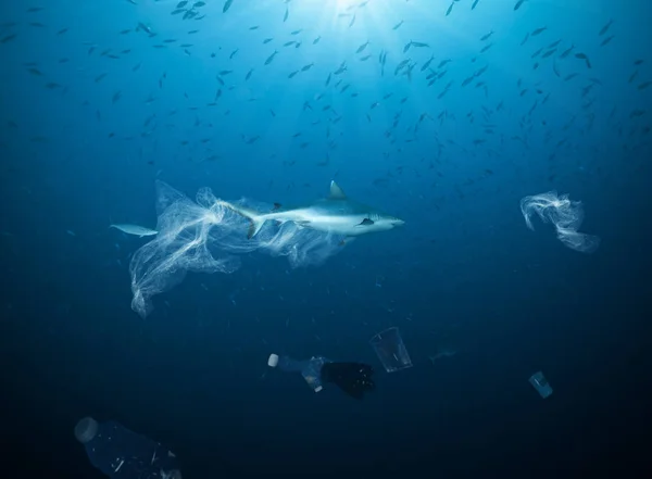 Problema global submarino con la basura plástica —  Fotos de Stock