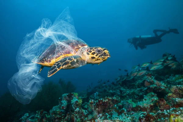 Masalah global bawah air dengan sampah plastik — Stok Foto