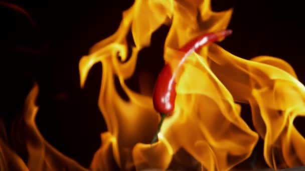 Super Slow Motion Falling Hot Red Peppers Fire Filmado Cámara — Vídeo de stock