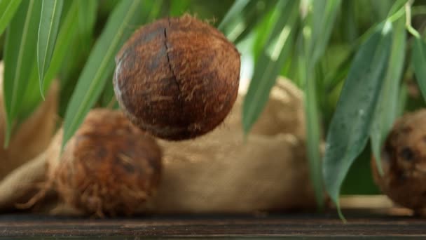 Movimento Super Lento Queda Coco Pela Metade Com Respingo Filmado — Vídeo de Stock