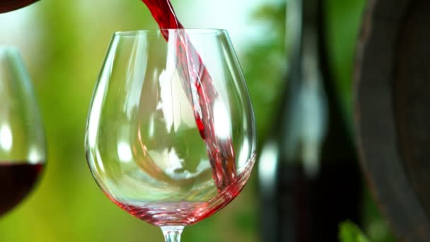 Super Slow Motion Splashing Red Wine Glass Still Life Composition — Stock Video