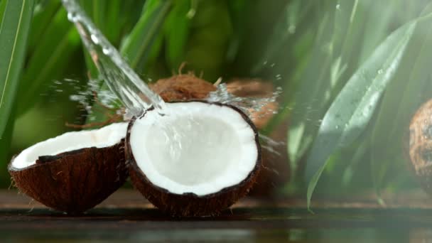 Super Slow Motion Cocco Con Spruzzi Girato Cinepresa Alta Velocità — Video Stock