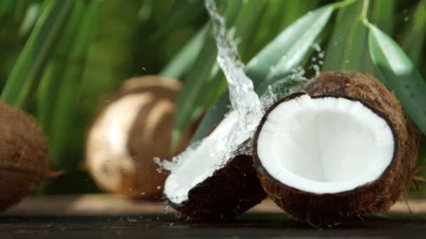 Super Slow Motion Cocco Con Spruzzi Girato Cinepresa Alta Velocità — Video Stock