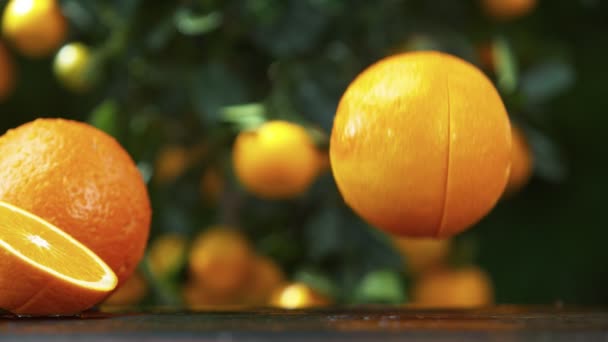 Super Cámara Lenta Caída Naranja Con Salpicadura Filmado Cámara Cine — Vídeo de stock