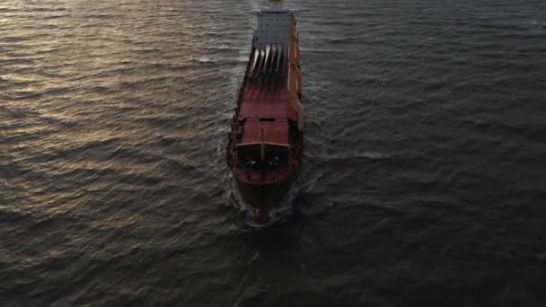 Aerial View Huge Container Cargo Ship — Stock Video