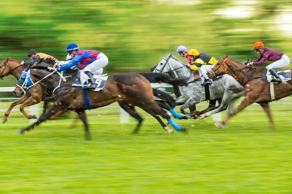 Pferderennen im Freien — Stockfoto