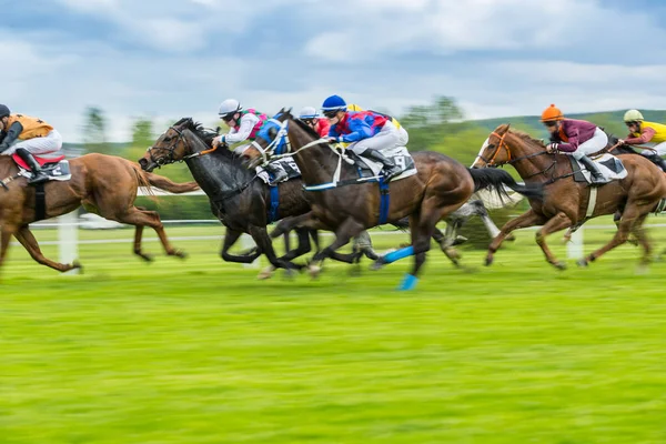 Carreras de caballos derby al aire libre —  Fotos de Stock