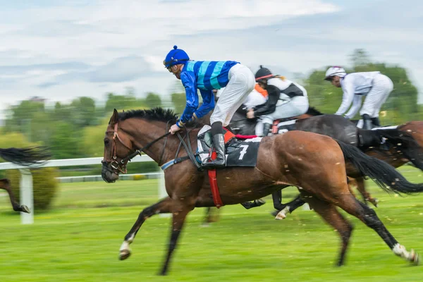 Hästkapplöpning utomhus Derby — Stockfoto