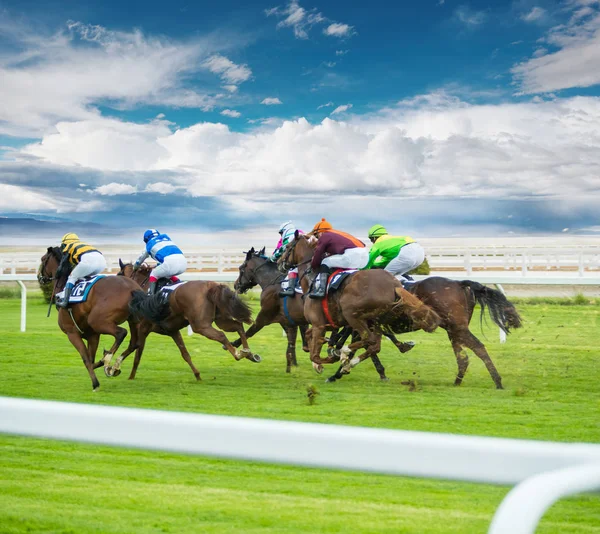 Horse racing outdoor derby — Stock Photo, Image