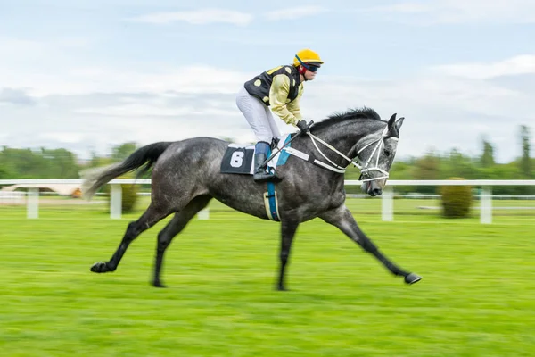 Un solo jinete en carreras de caballos derby al aire libre —  Fotos de Stock