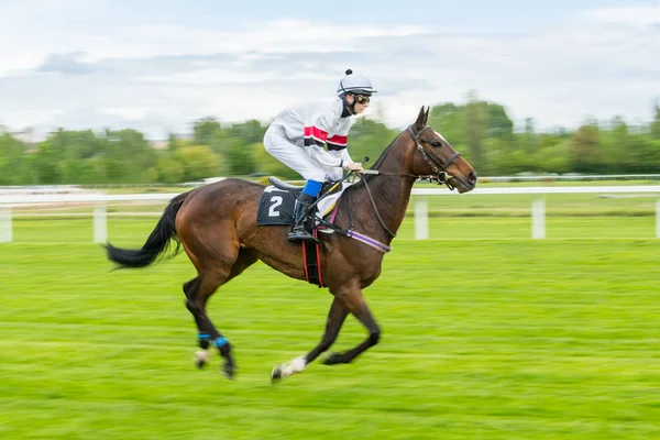 Singel jockey på hästkapplöpning utomhus Derby — Stockfoto